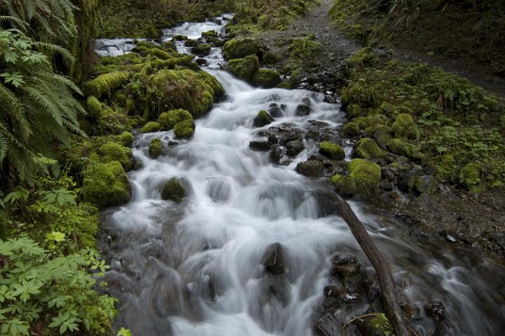 Wakeena Creek 148-149.jpg